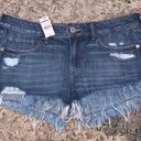 EXPRESS Shorts Relaxed Low Rise Size 8 NWT Photo 0