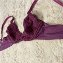 Gilligan and O’malley 36B Purple Bra  Photo 3