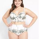 Cacique Lane Bryant  Swim Balconette Bikini Top + Swim Brief Sugar Palms 44DD 26 Photo 0