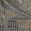 Midnight Doll Silver Sequin Semi Dress Photo 5