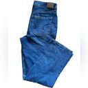 American Eagle NWT  Low Rise Baggy Jean  Comfort Stretch Size 10 Regular  Blue Photo 5