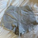 Aerie Grey Sweatshorts Photo 1