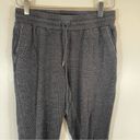 Aritzia  Wilfred Free Dark Grey High Rise Drawstring Jogger Sweatpants Size Small Photo 6