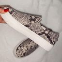 Cushionare Snakeskin Shoes Photo 0