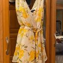 Crystal Doll COPY -  Springtime Sundress w/ Tie.  EUC! Photo 0