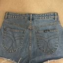 Rolla's  Dusters High Rise Slim Jean Shorts  Photo 2