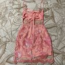 Lucy in the Sky Embroidered Lace Dress in Pink Photo 7