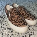 American Eagle cute cheetah print shoes Photo 0