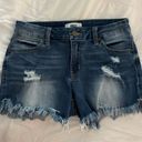 Just Black Denim JBD Jean Shorts Photo 0