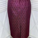 Elite Champagne Metallic Brocade Jacquard Pencil Midi Skirt Gray Pink 18 Photo 3