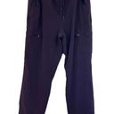 Eddie Bauer  Pants Women's 14 Purple Nylon Joggers Fleece Lined Outdoors Ladies Photo 0