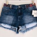 The Row NWT Stone Embroidered High Waisted Short Photo 1