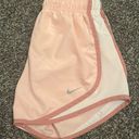 Nike Dri-Fit Shorts Photo 2