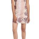 Foxiedox  Georgina Lace Appliqué Sheath Dress In Blush Multi Size 14 NWT Photo 0