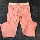 Pilcro  Pink Hyphen Chino Pants Size 26P Embroidered Floral Waist - 30x28 actual Photo 1