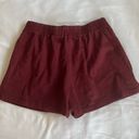 Brandy Melville Shorts Photo 1