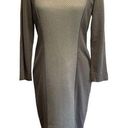 Lafayette 148  New York Long Sleeve Dress Size Small Photo 0