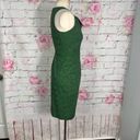 Tracy Reese  green lace sleeveless sheath dress with tie neck line Photo 4