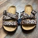 American Eagle Outfitters Leopard Flats Photo 1