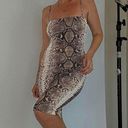 re:named Bodycon Snake Dress Photo 4