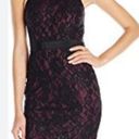 Sequin Hearts Sequin 🖤 Hearts Black & Mauve Lace Dress Photo 12