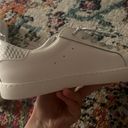 Vintage Havana Silver low top s Photo 2