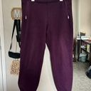 Patagonia  | Women’s Thermal Made In The USA Jogger Pants In Purple Size Large Photo 0