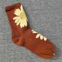 Daisy Socks - Cotton and  Jacquard Photo 1