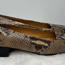 LAUREN RALPH LAUREN Snakeskin Leather Slip On Low Heel Pumps Tan Size 8.5 Photo 2