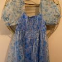 These Three Boutique Blue Organza dress Photo 3