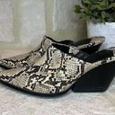 Mango Violeta by  Snake-effect mules sz 39 Photo 5