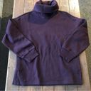 Banana Republic  Long Sleeve Funnel Neck Sweatshirt Photo 4