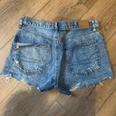 American Eagle outfitters 90s boyfriend shorts Photo 1