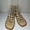 Stuart Weitzman  NWOB Kora Lace-Up Gladiator Sandal beige Size 8 $395 New Roman Photo 1