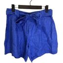 J. McLaughlin  Abbie Blue  Beachy Vacation Classic Preppy Linen Shorts (Size 6) Photo 0