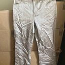 Bill Blass Shimmery  slacks 10 Photo 0