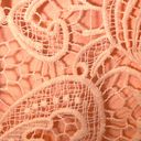 BB Dakota NWT  Pink Coral Peach Lace Dress Photo 2