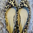 Boutique Designer leopard flats Photo 3