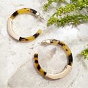 The Bar Gold Accent Tortoise Hoop Earrings Photo 0