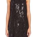 Michael Stars  Silk Sequin Dress Photo 0