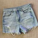 American Eagle Outfitters Shorts Photo 0