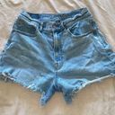 American Eagle Outfitters Shorts Photo 0