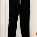 Talbots NWT  Velour Straight Leg Pants Photo 0