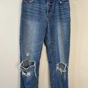 Abercrombie & Fitch  Womens Size 4/27 Annie Girlfriend Distressed High Rise Jeans Photo 0