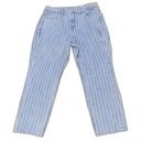 American Eagle  Mom Jeans Retro Indigo Stripe Size 8 Short 29W High Rise NWT Photo 0