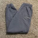 Brandy Melville Light Blue Easy Hampton sweatpants Photo 0