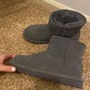 Bear Paw Mini Ugg Booties Photo 3