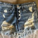 3x1 Denim Shorts Photo 0