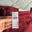 American Eagle Red/Rust Hi-Rise Jegging Photo 2