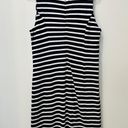 Crown & Ivy Women's Shift Dress Navy/White Stripe with Gold Accent sz Medium. Photo 2